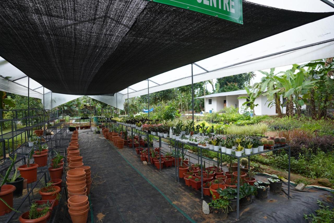 Carmel Tourism Village Kotamangalam Exteriér fotografie